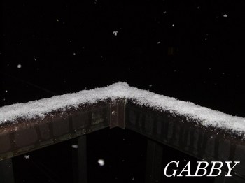 09-02-20_00-56 雪.JPG