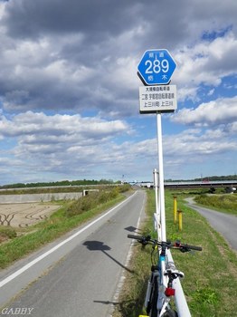 自転車専用県道