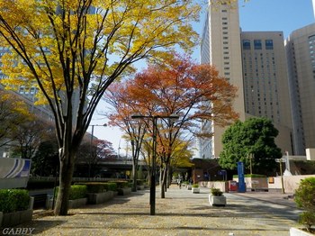 新宿の秋風景