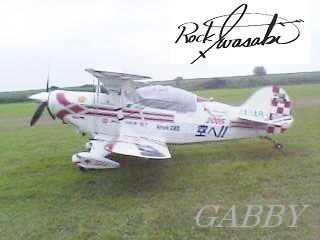 AIRock Aerobatic Team　Pits-2c.jpg